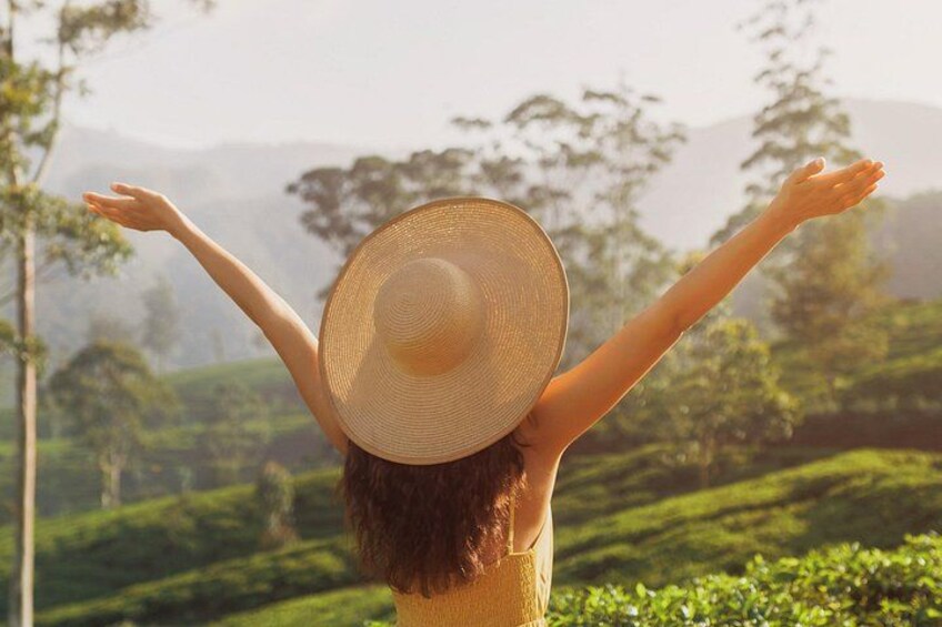 A person with arms raised, wearing a straw hat, in a lush green landscape with hills in the background. 3
