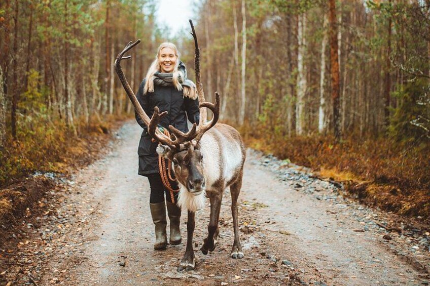 A person standing next to a reindeer on a forest path. 4