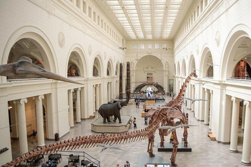 Interno di un museo con grandi scheletri di dinosauro e un'esposizione di giraffe. 1