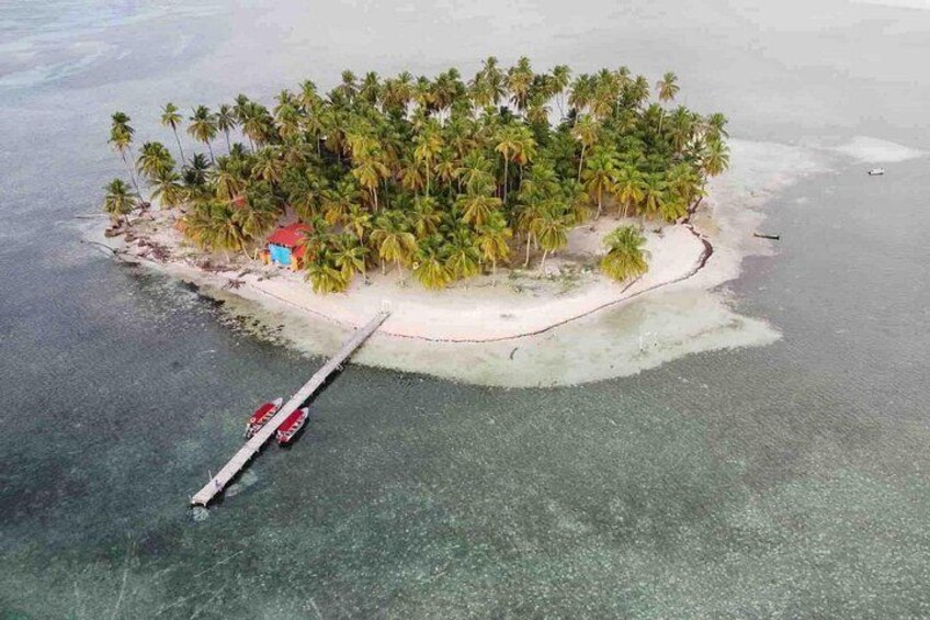 An aerial view of a tropical island with palm trees, a small building, and a pier extending into the water. 5