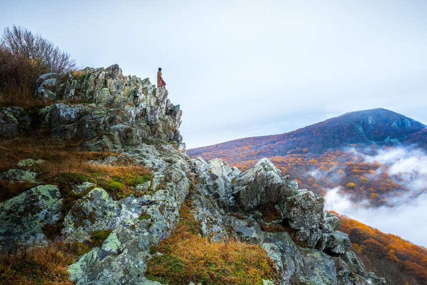 Un paysage montagneux rocheux, paré des couleurs automnales, avec une personne debout sur une falaise. 5