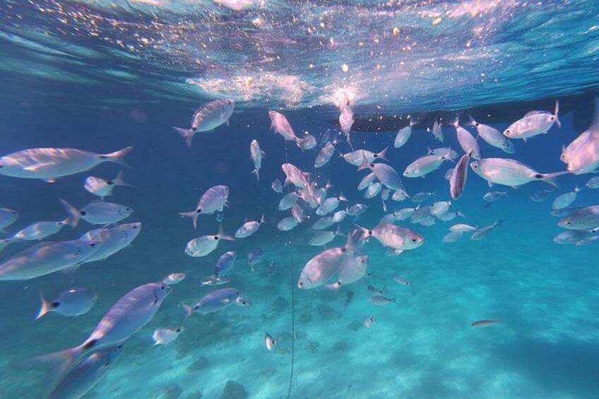 Gopro photo 3