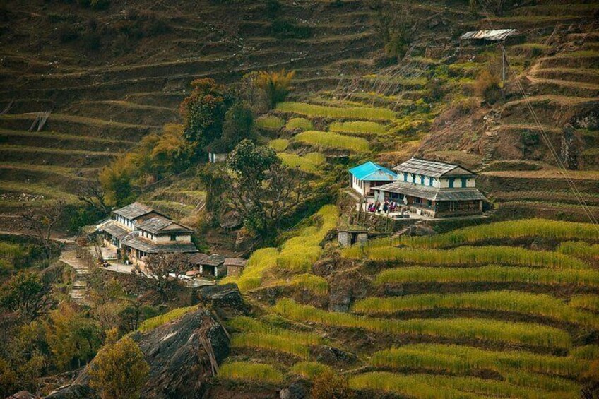 Des rizières en terrasses, des maisons traditionnelles et un paysage montagneux. 1