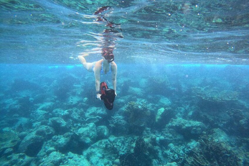A person snorkeling underwater with a mask and fins. 2