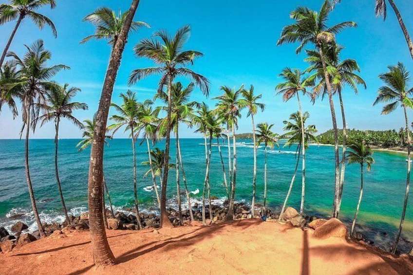 Una spiaggia con palme e acqua cristallina. 1