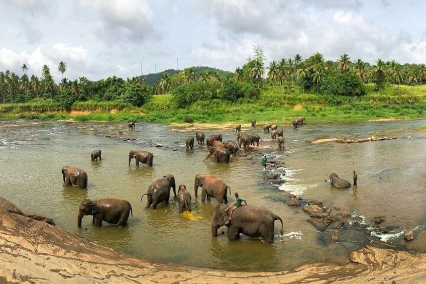 Sri Lanka Private Tour -7 Days With Driver and Vehicle 4