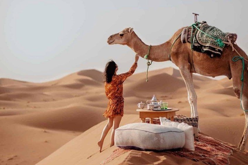 Zagora Desert Tour with Camel Ride & Campfire Night 1