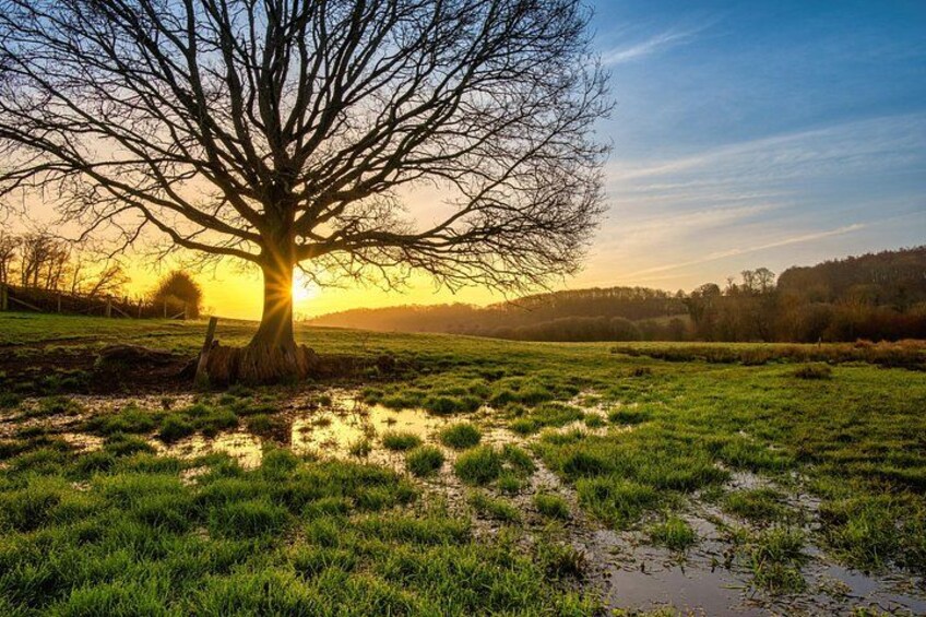Explore Crystal Streams and Secret Valleys in Chiltern Hills 2