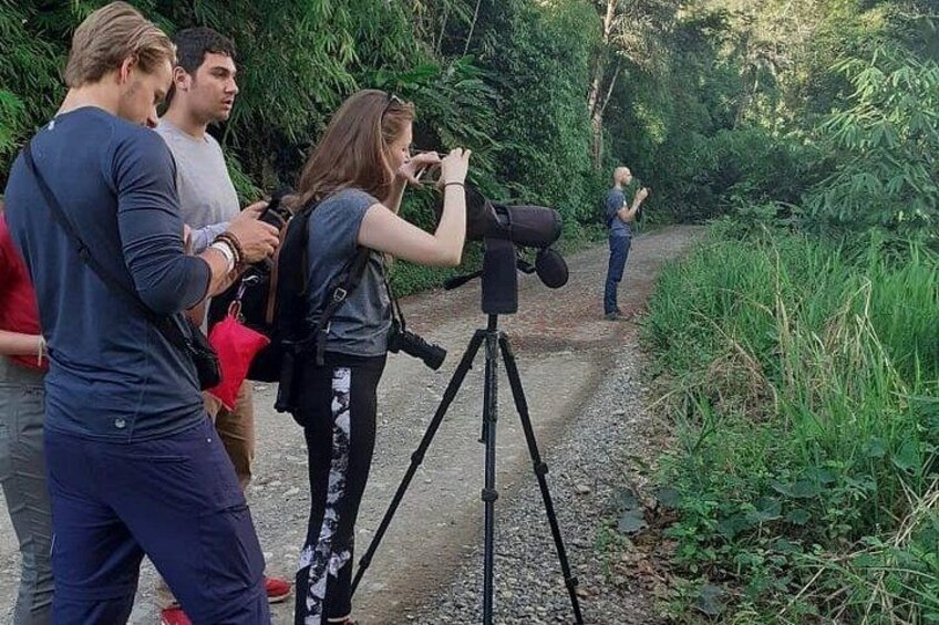 A group of people using a large camera on a tripod, standing on a gravel path surrounded by greenery. 3