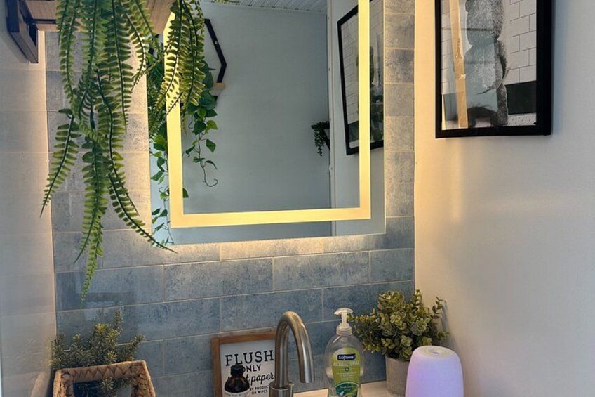 A bathroom with a mirror, a sink, a plant, and a framed sign. 3