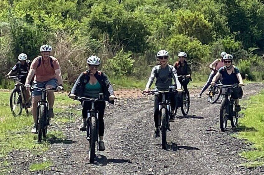 Half Day E-Biking with Wildlife Watching in Pretoria