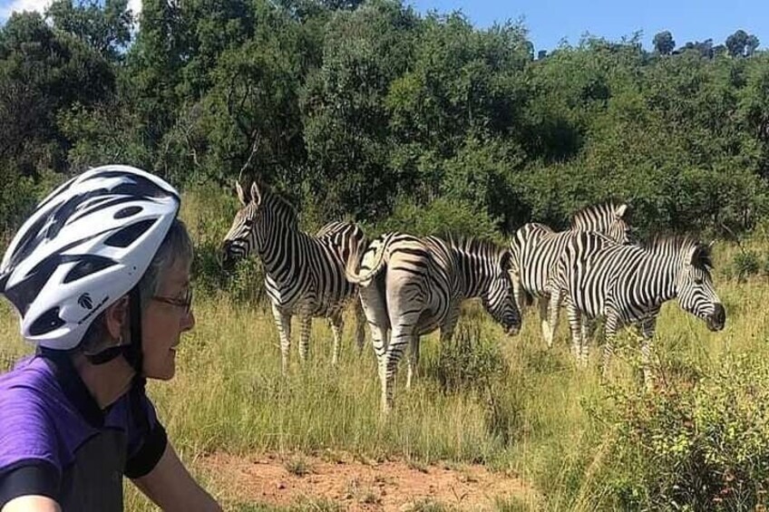 Half Day E-Biking with Wildlife Watching in Pretoria