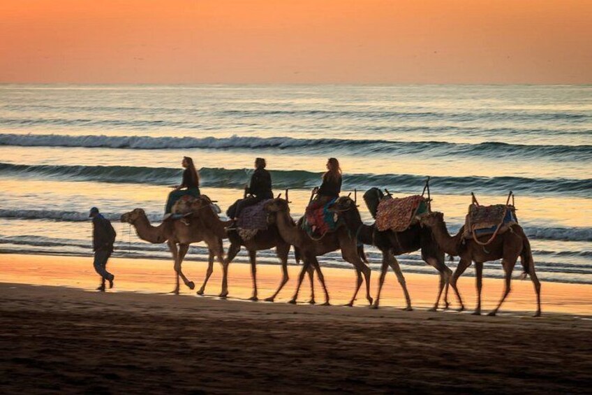 Essaouira Day Trip Check-out DE Marrakech 5