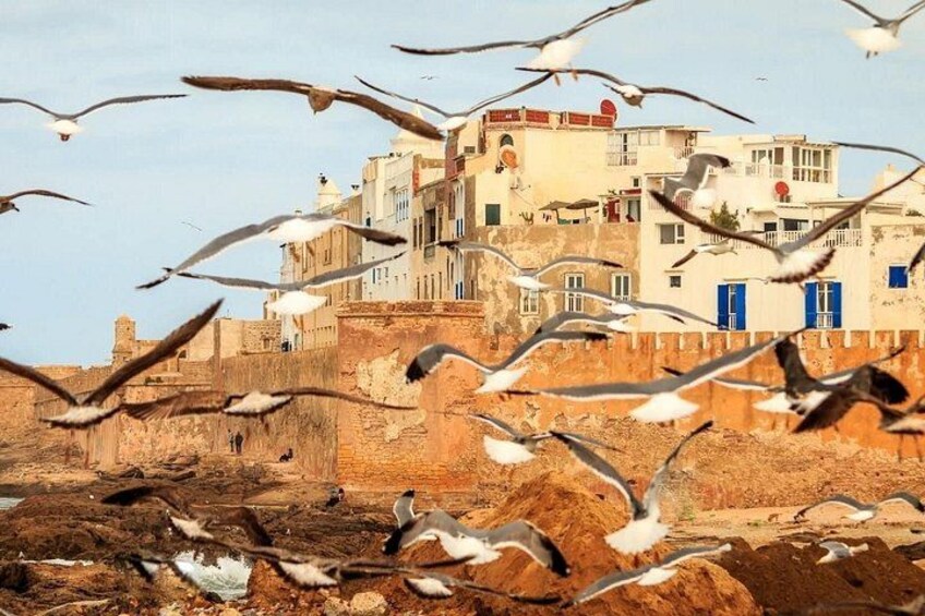 Essaouira Day Trip Check-out DE Marrakech 4