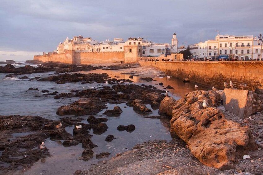 Essaouira Day Trip Check-out DE Marrakech 3