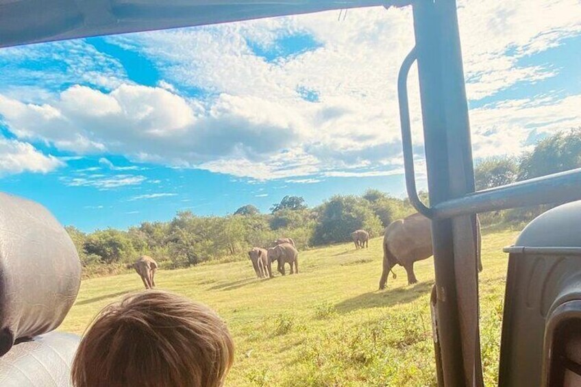 All Inclusive Safari Tour at Udawalawa National Park  2