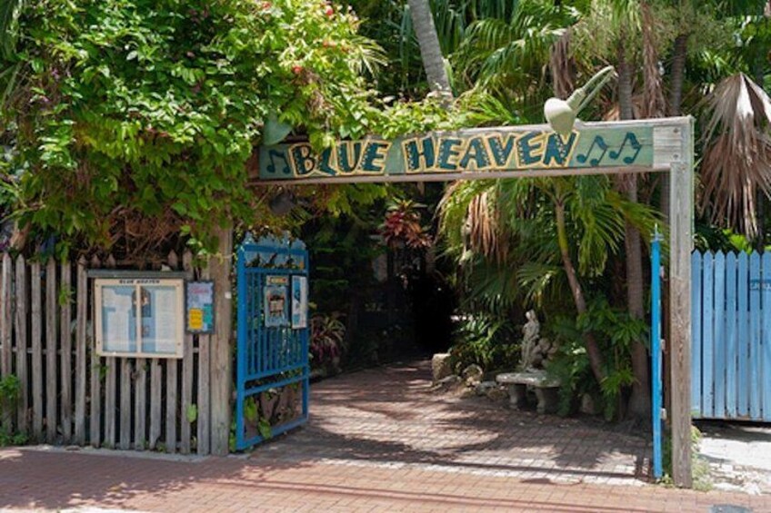 Hemingway's Key West Self Guided outdoor Walking Audio Tour 2