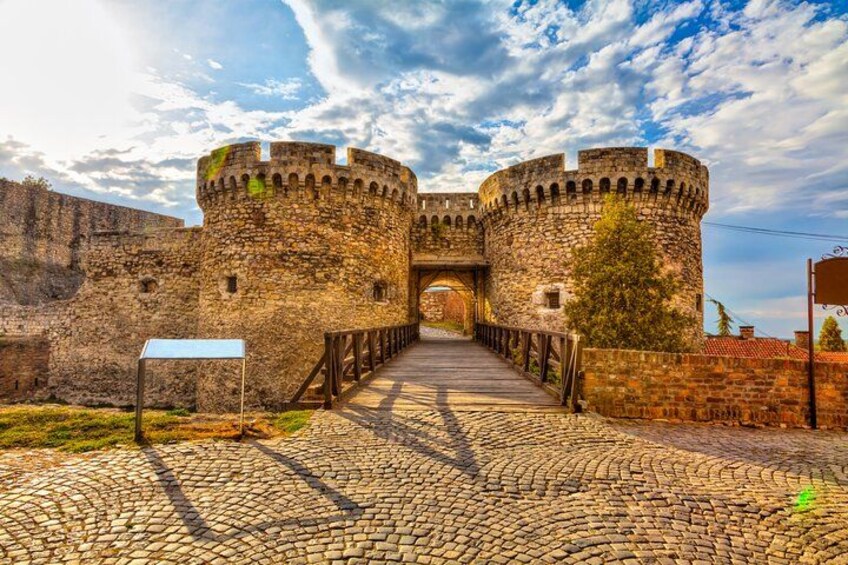 A stone castle with a cobblestone pathway leading to a gate. 5