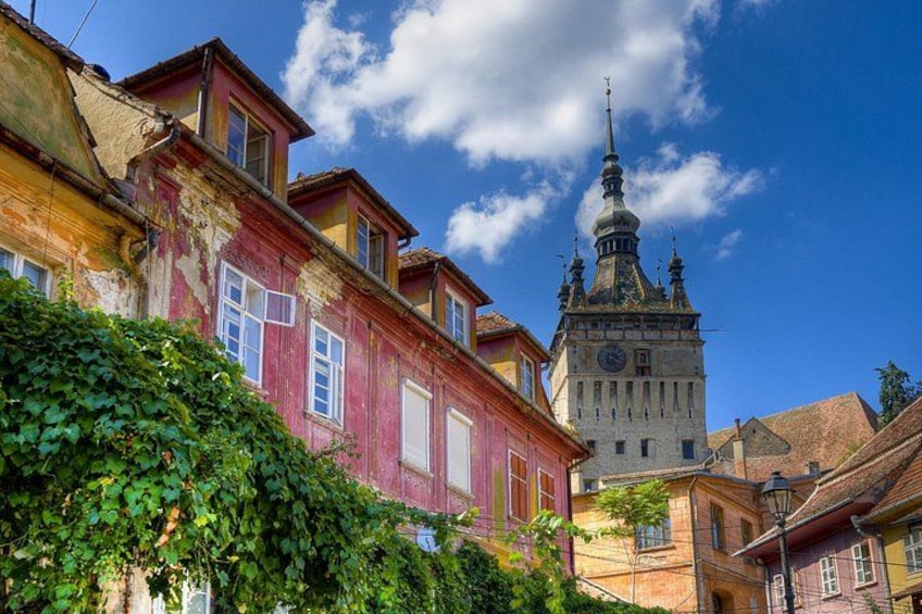 A historic building with a clock tower, surrounded by colorful buildings and lush greenery. 5