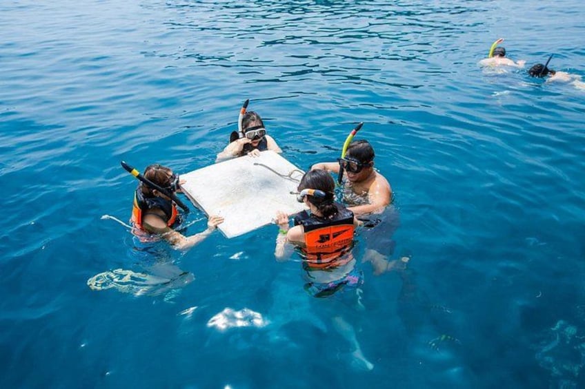 Eine Gruppe von Menschen schnorchelt in klarem, blauem Wasser. 2