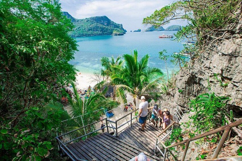 Eine Holztreppe führt zu einem Strand mit Palmen und Blick aufs Meer. 5