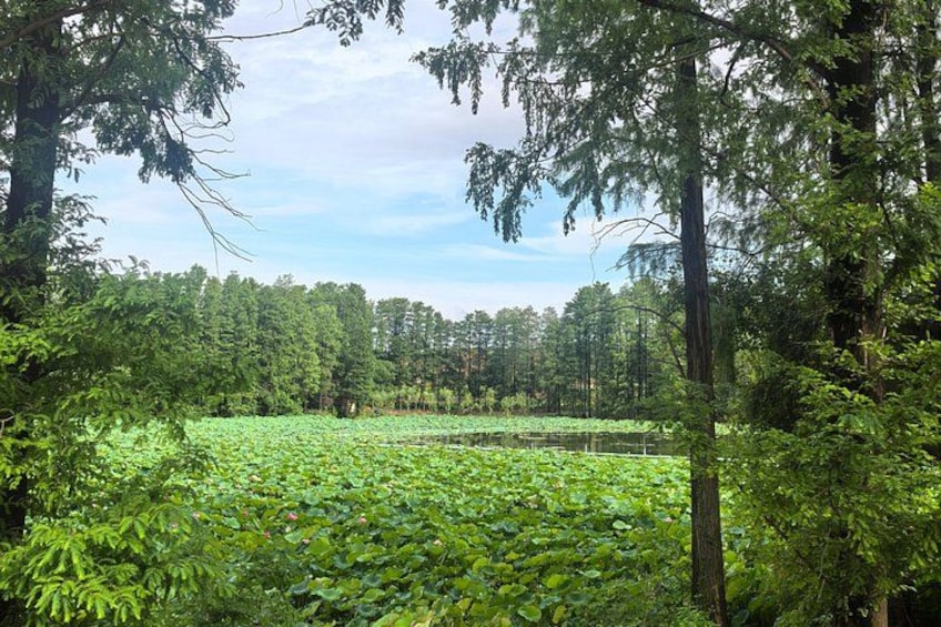Route 2: East Lake 5
