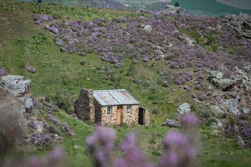 Queenstown to Middlemarch via Cromwell Small-Group Tour (One-Way) 2