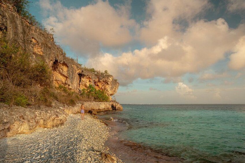 A rocky coastline with a person standing on the beach, cliffs, and the ocean. 5