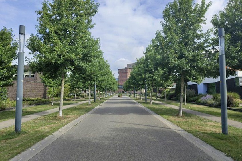A tree-lined street with buildings on either side. 4