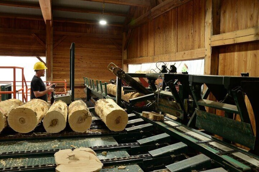 A lumber mill with large logs on a conveyor belt and a worker operating machinery. 1