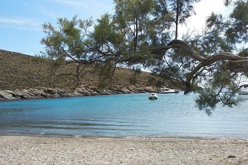 Un lago tranquilo con un bote, una orilla rocosa y pinos. 3