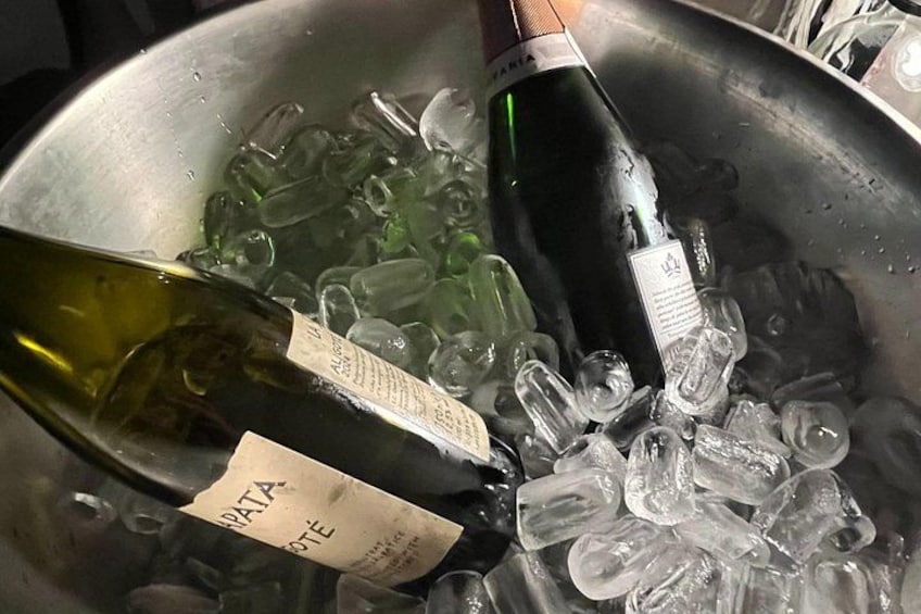 Zwei Weinflaschen in einem Metallbehälter mit Eiswürfeln. 4
