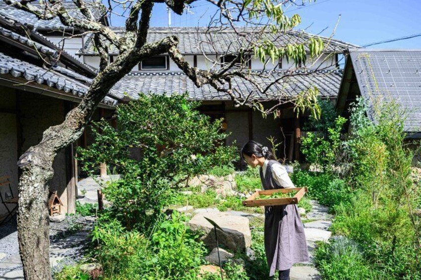 Fermented Bento Workshop on the Yamanobe-no-michi Trail (private) 2