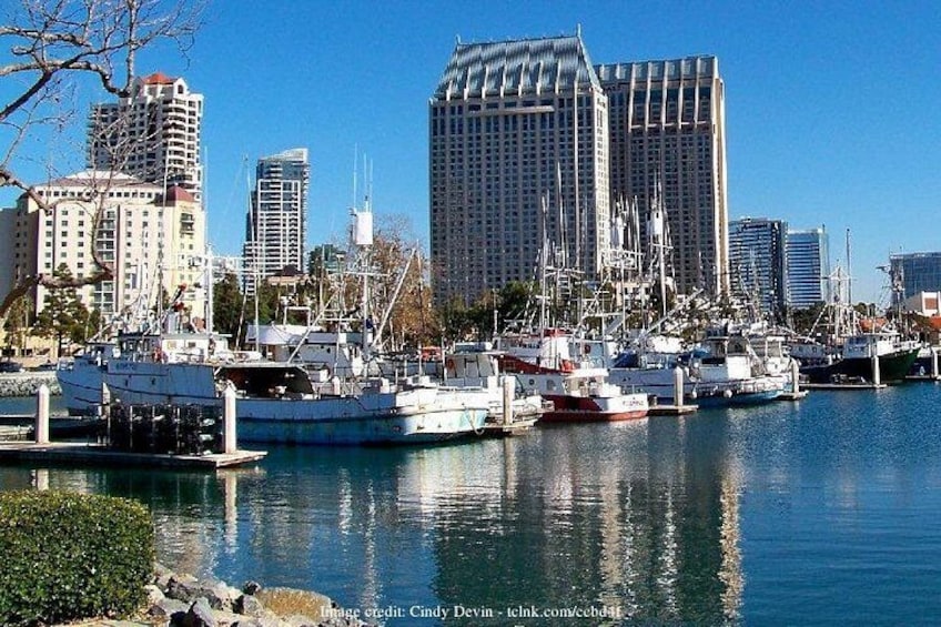 Discover San Diego's Beaches: Private Driving Tour 2