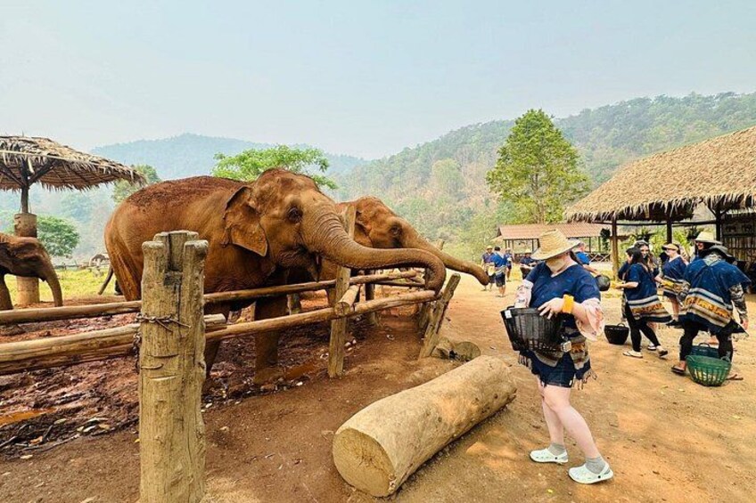 Private Sticky Waterfall DAY to Elephants Sanctuary & Blue Temple 5