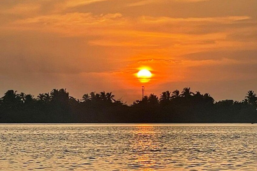 Un tramonto su uno specchio d'acqua, con le sagome di palme che si stagliano contro il cielo. 4