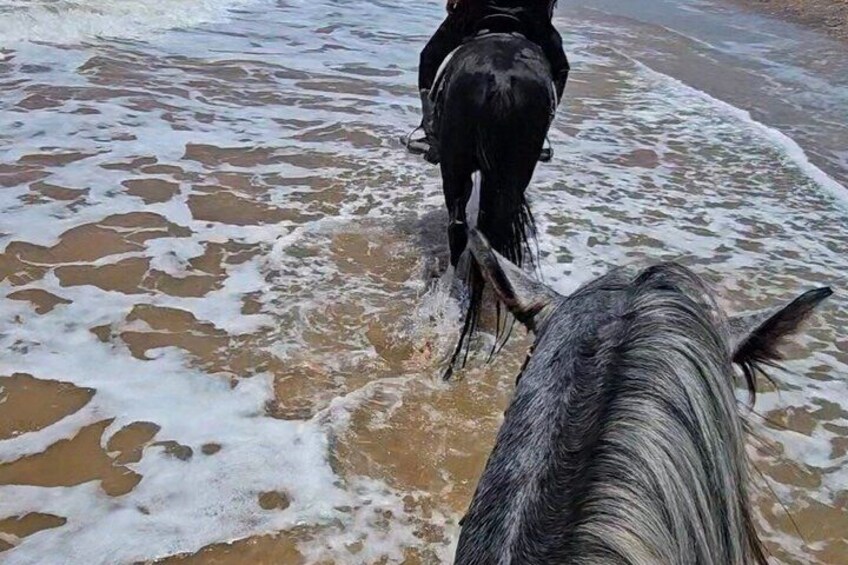 Horse Riding Silent Disco Beach Experience Sidi Kaouki ESSAOUIRA 5