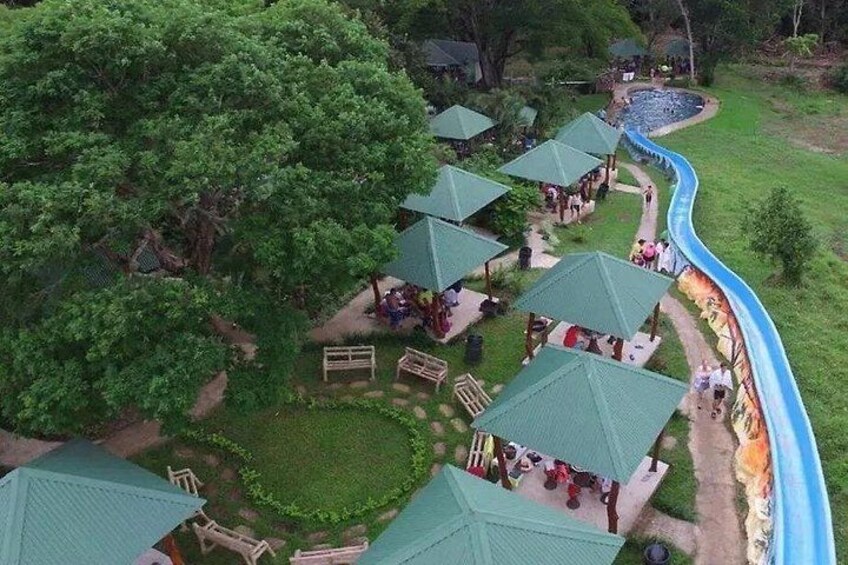 Tamarindo Sloths, Hot Springs, and Lunch: Private Tour 5