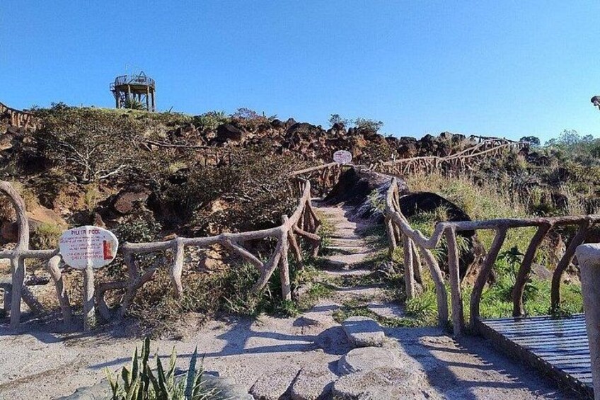 Tamarindo Sloths, Hot Springs, and Lunch: Private Tour 2