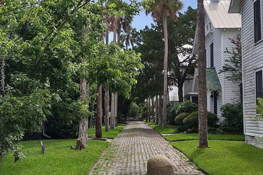 Un camino pavimentado bordeado de árboles y una hilera de edificios blancos. 3
