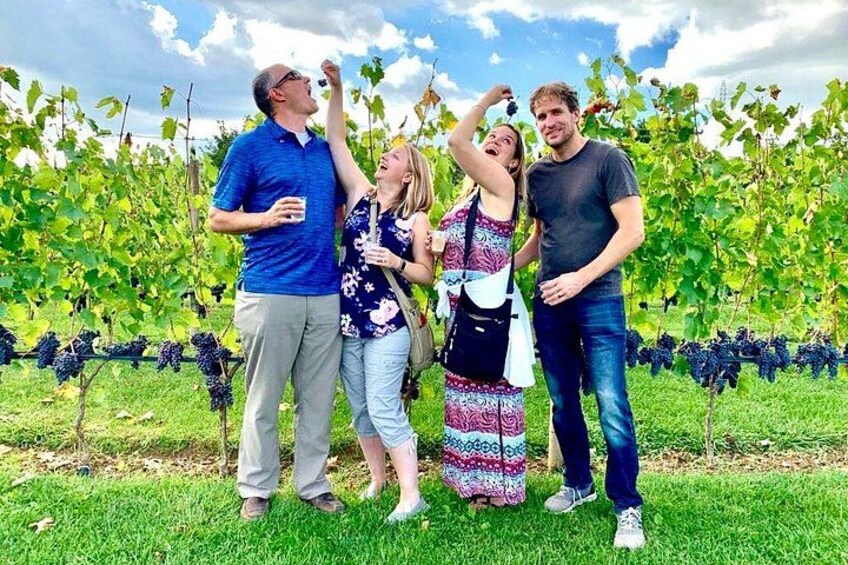Tuscan Olive Oil and Cheese Tasting Tour with San Gimignano 5