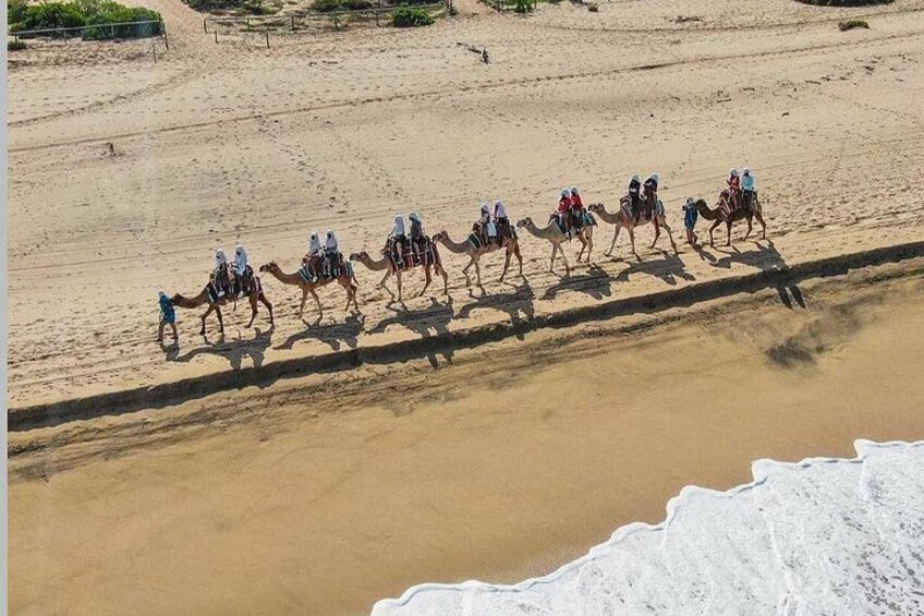 A group of camels with riders on a sandy beach near the water. 3