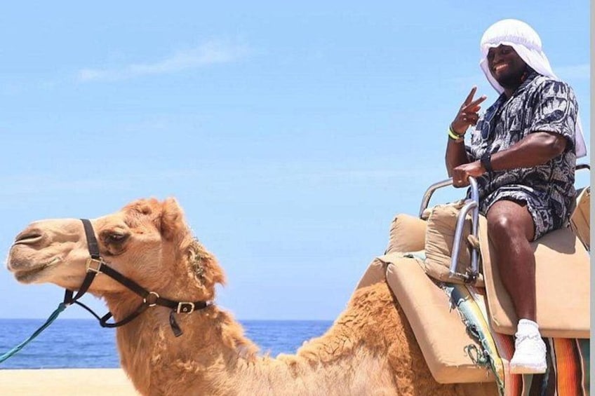 A camel with a rider on a beach. 4