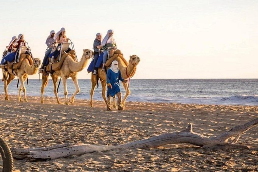 A group of people riding camels on a beach with the ocean in the background. 5
