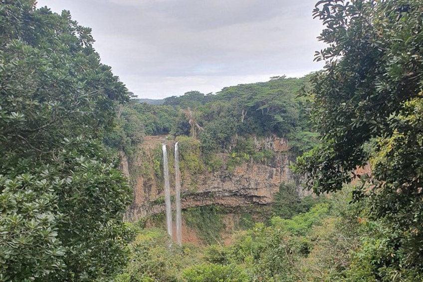 A waterfall surrounded by dense green foliage. 4