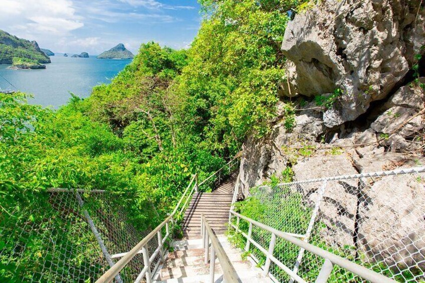 Un escalier descendant une pente rocheuse, offrant une vue sur une étendue d’eau et la végétation environnante. 3