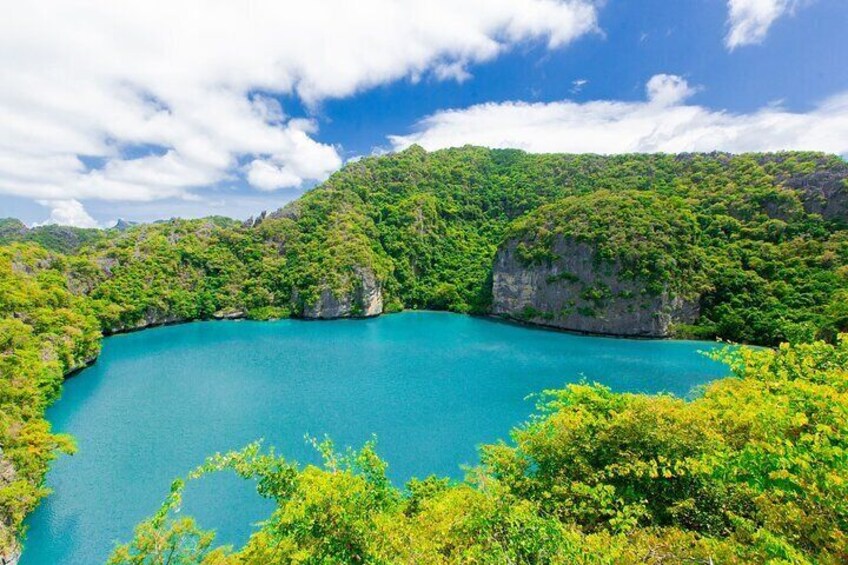 Une baie turquoise, bordée de collines verdoyantes. 4