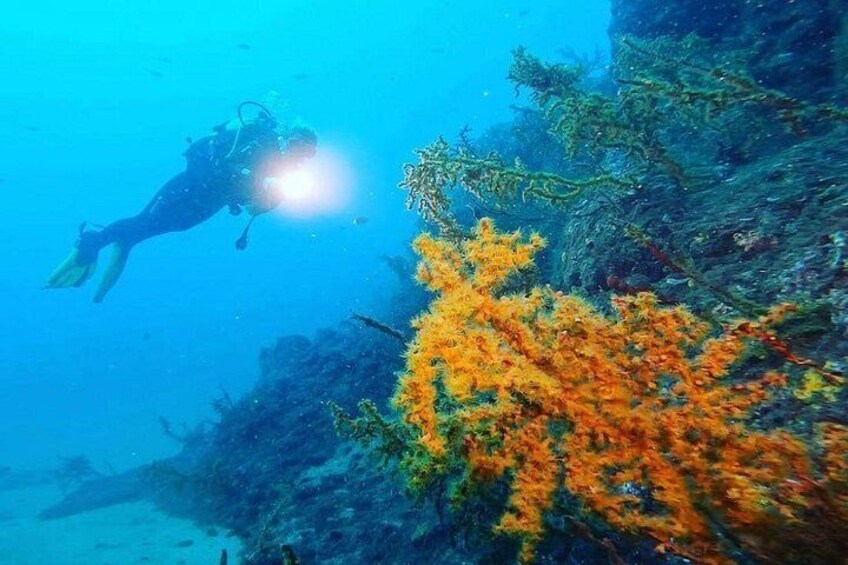 Try scuba diving 1