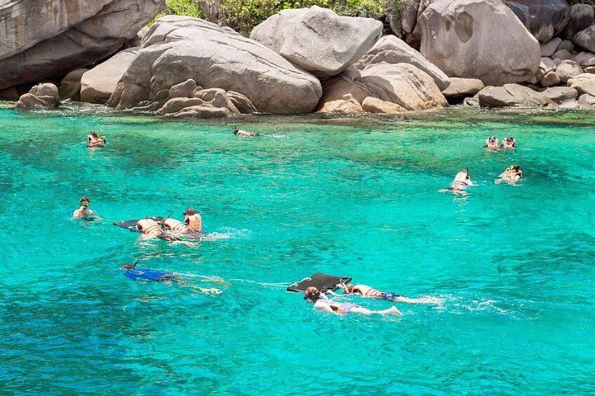 Similan Islands Snorkeling Tour by Seastar Andaman from Khao Lak 2