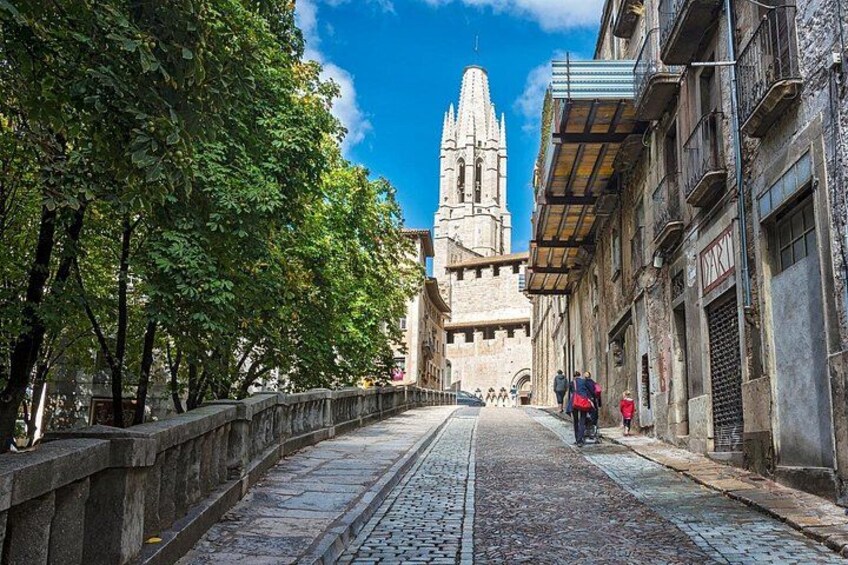 Una calle adoquinada bordeada de árboles y edificios históricos, que conduce a una alta torre de iglesia. 5